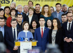 Сандовские партнеры, чахнущие над своим златом - интересные факты и цифры