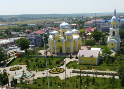 Неизвестные растащили только-только высаженные цветы в Комрате