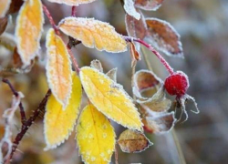 Новая неделя начнется с ночных заморозков: погода в Молдове в понедельник