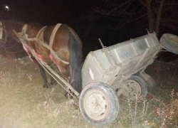 В аварии с опрокинувшейся телегой в Шолданештском районе пострадал двухлетний ребенок