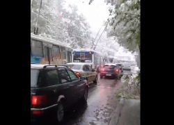 На Телецентре из-за обрыва проводов встали троллейбусы