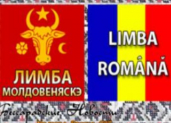 Ученые Академии наук «безоговорочно» поддерживают PAS в изменении названия языка с молдавского на румынский