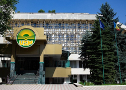 Плагиат под запретом: новые правила для университетов и колледжей