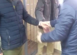 В Кишиневе задержали двух рецидивистов, находившихся в розыске