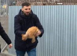 В Бельцах хотят поквитаться с живодером - на местные власти надежды больше нет