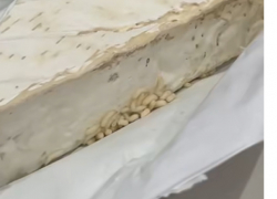 Сыр с червями в магазине Каушан: покупательница бьет тревогу