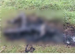 Полиция по-прежнему не может раскрыть жуткое преступление под Флорештами и просит помощи у граждан