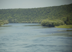 Днестр на территории Молдовы превратится в застоявшееся болото