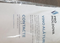 Группировка Канду Pro Moldova подкупает жителей севера Молдовы пакетами с медицинскими масками, призывая вступать в их ряды