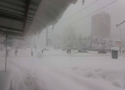 В отсутствие транспорта жители Кишинева пытаются пешком добраться до работы