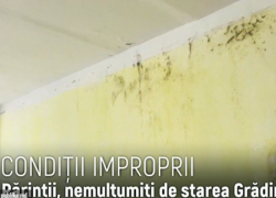 В столичном детском саду №151 осыпается штукатурка и буйным цветом растет плесень