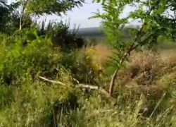 Война с мертвыми и война с природой - вандалы ополчились на захоронения на Шерпенском плацдарме