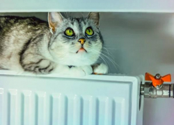 В Молдовагаз пообещали с 1 августа отключать должникам газ