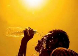 Четверг будет умеренно жарким, пик жары придется на пятницу и выходные 