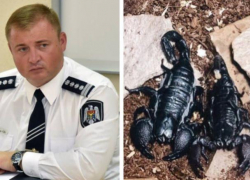 Трагически скончался "друг Кавкалюка", теперь экс-полицейский хочет сохранить его тело