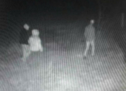 Незаконный канал пересечения границы с Украиной организовали молдавские подростки