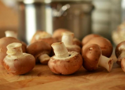 Начался грибной сезон: эксперты советуют быть осторожными