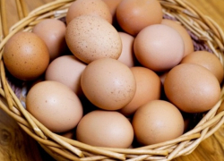 Химия в куриных яйцах: ANSA отзывает продукцию и уничтожает поголовье птиц