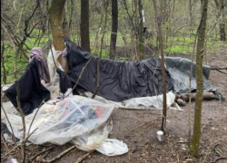 Бывший врач живет в холод и дождь в лесу, накрывшись простыней