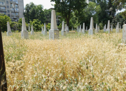 У Минобороны с бюджетом в десятки миллионов леев нет несколько сот леев на уход за мемориалом «Вечность»