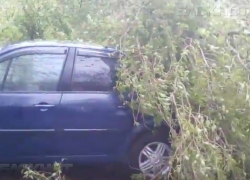 Два дня непогоды в Кишиневе: пострадали машины и могилы