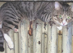 Вниманию жителей Молдовы, имеющих долги по ЖКХ 