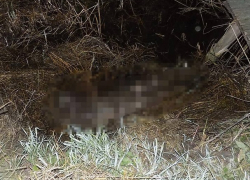 Житель Одесской области жестоко расправился с квартирантом: труп убитого обнаружили в реке через четыре месяца 