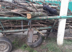 26-летний парень в Хынчештском районе попал в больницу после того, как не справился с управлением... телегой