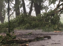 На севере страны настоящий ураган - поваленные деревья и град