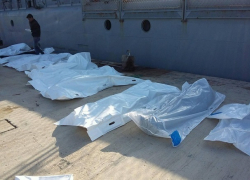 Акулы растерзали мигрантов в Средиземном море: погиб 31 человек