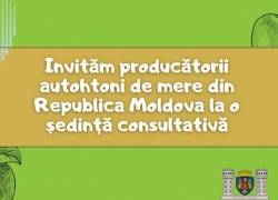 Столичные власти готовы поддержать фермеров, закупив у них яблоки для школ 