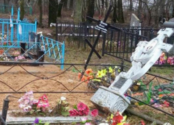 Погром на сельском кладбище в Рыбницком районе устроили дети