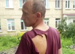 Изорвали в лохмотья: водители маршруток жестоко избили полицейского под Киевом