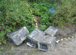 Румынские пограничники обнаружили партию «речной» контрабанды сигарет