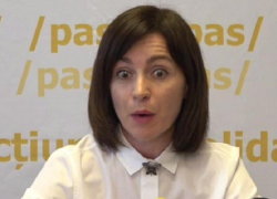 Санду не сможет рассчитывать на диаспору, если Молдова возьмет пример с Дании