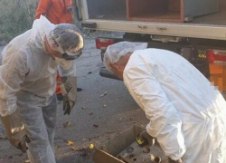 «Новый Чернобыль» недалеко от молдавской границы: счетчики Гейгера зашкаливают