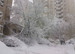 В полиции подтвердили обнаружение бездыханного тела на Ботанике