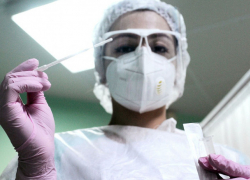 В Молдове выявлено 229 новых случаев COVID-19 за сутки