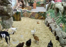 Мертвые животные и пытки зверушек в контактном зоопарке в Кишиневе возмутили горожан