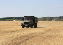 Молодой мужчина погиб на поле с ячменем во Флорештском районе
