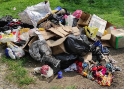 Бельцы и мусор теперь неразлучны - из парков больше не вывозят отходы