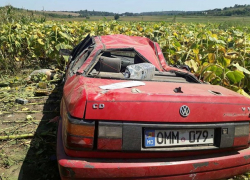 Мужчина умер мгновенно в поле подсолнечника в Новоаненском районе  