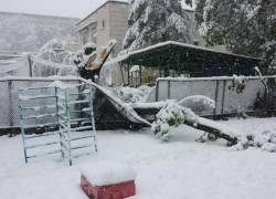 На Ботанике упавшее дерево сломало забор детсада