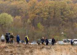 В Молдове за год планируют высадить 35 млн деревьев