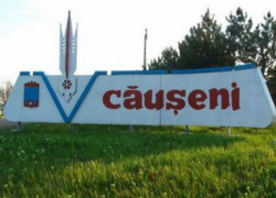 В Каушанском районе водитель внедорожника снес с дороги телегу