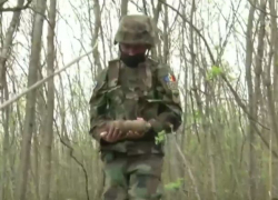 Опасные снаряды времен Второй мировой войны обнаружил фермер в Каушанском районе