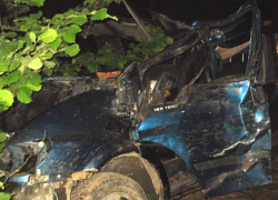 Смертельное столкновение молдавского микроавтобуса с лосем произошло в Беларуси