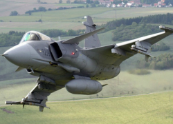 Птица «сбила» шведский истребитель во время полета