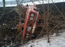 Водитель врезался в дерево и погиб в страшной аварии в Единецком районе 