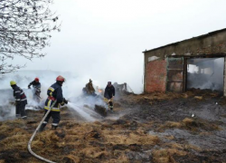Пожар в Леовском районе уничтожил 35 овец